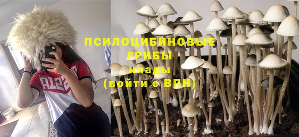 винт Семёнов