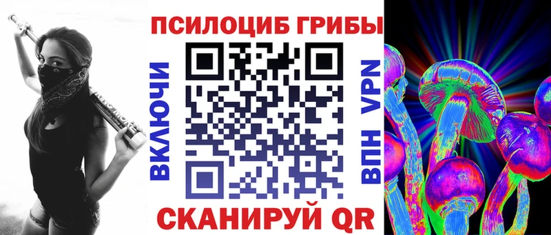купить наркоту Чекалин Галлюциногенные грибы Cubensis